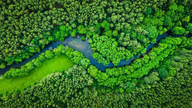Imagem aérea de uma paisagem florestal com um rio, como símbolo de sustentabilidade na KiK