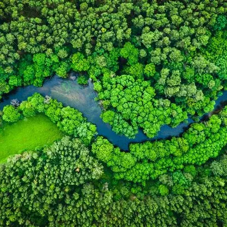Imagem aérea de uma paisagem florestal com um rio, simbolizando a sustentabilidade na KiK