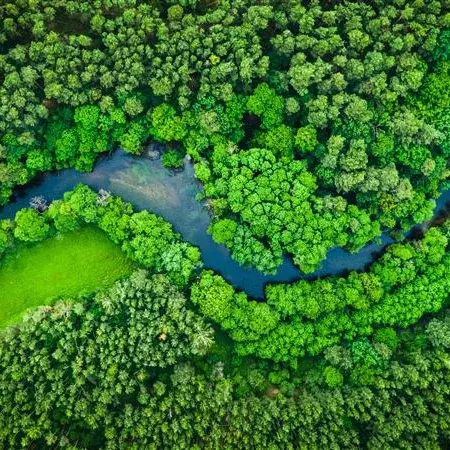 Imagem aérea de uma paisagem florestal com um rio, como símbolo de sustentabilidade na KiK 